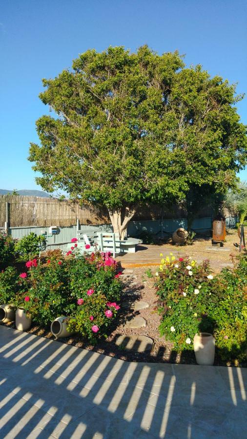 Ferienwohnung Beit Hakerem Hazon Exterior foto
